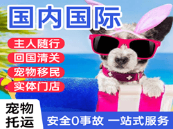 泸州云龙航空运输国际宠物托运 【国